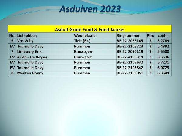pitts-2023-pe-vlaams-brabant-prov-asduif-grote-fond-fond-jaarse-uitslag-2.jpg