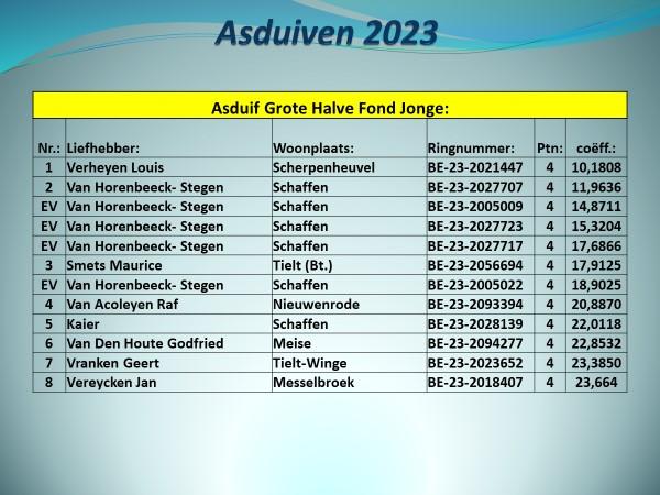 pitts-2023-pe-vlaams-brabant-prov-asduif-grote-halve-fond-jonge-uitslag-1.jpg