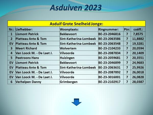 pitts-2023-pe-vlaams-brabant-prov-asduif-grote-snelheid-jonge-uitslag-1.jpg