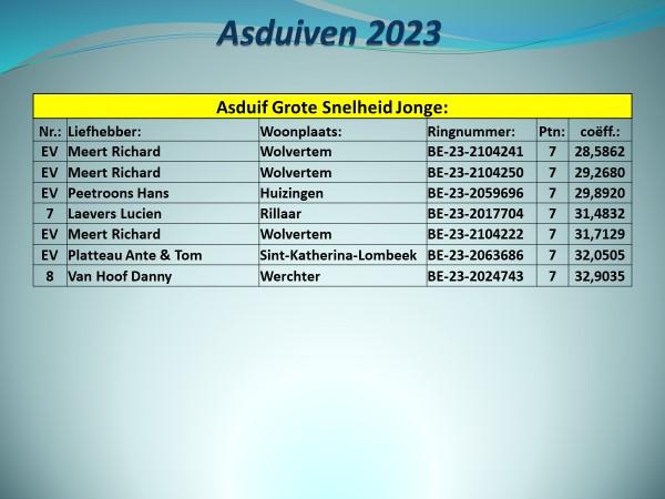 pitts-2023-pe-vlaams-brabant-prov-asduif-grote-snelheid-jonge-uitslag-2.jpg