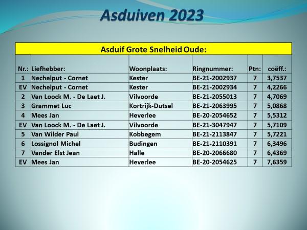 pitts-2023-pe-vlaams-brabant-prov-asduif-grote-snelheid-oude-uitslag-1.jpg