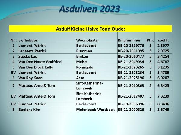pitts-2023-pe-vlaams-brabant-prov-asduif-kleine-halve-fond-oude-uitslag-1.jpg