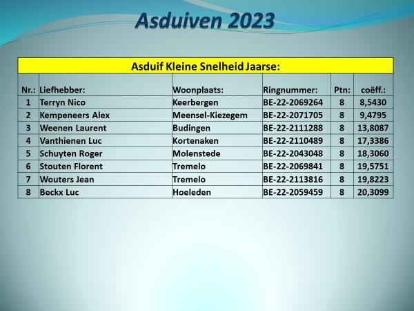 pitts-2023-pe-vlaams-brabant-prov-asduif-kleine-snelheid-jaarse-uitslag-1.jpg