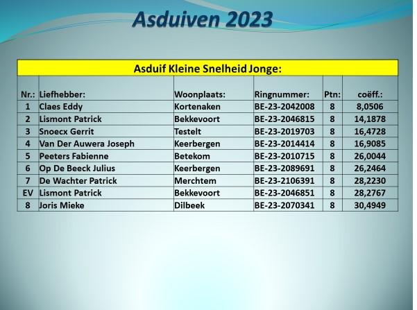 pitts-2023-pe-vlaams-brabant-prov-asduif-kleine-snelheid-jonge-uitslag-1.jpg