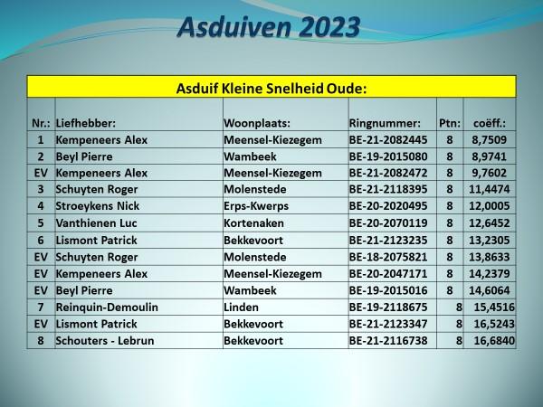 pitts-2023-pe-vlaams-brabant-prov-asduif-kleine-snelheid-oude-uitslag-1.jpg