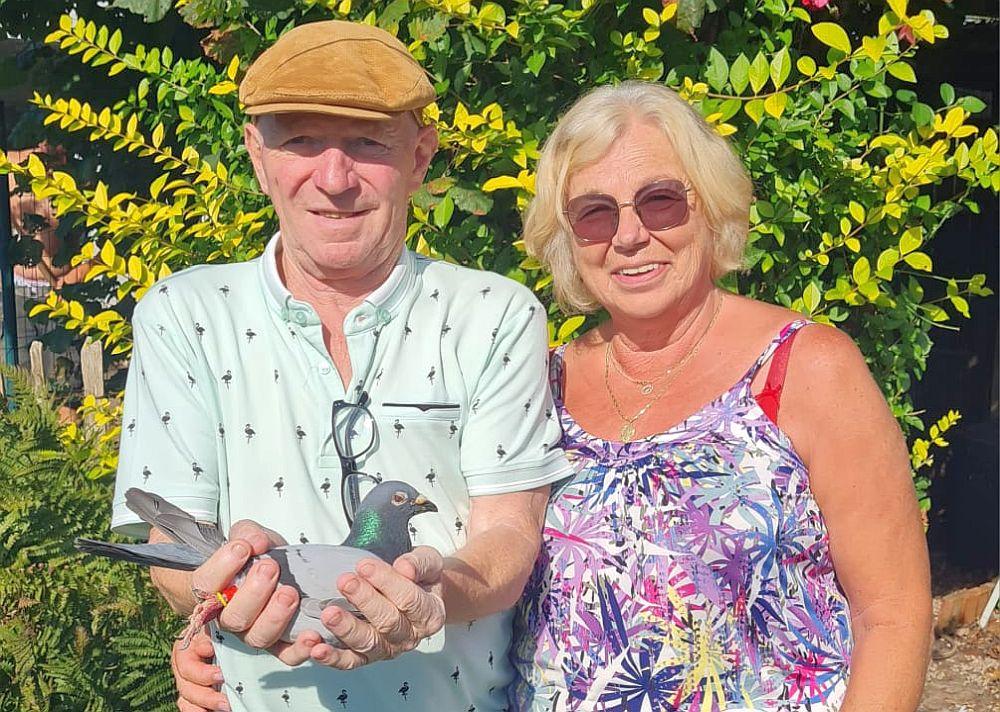 TOTALE VERKOOP Jean-Marie Hoogstijns