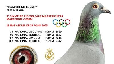 603512-pitts-be21-6083476-olympic-linci-runner-foto-croppedxs.jpg