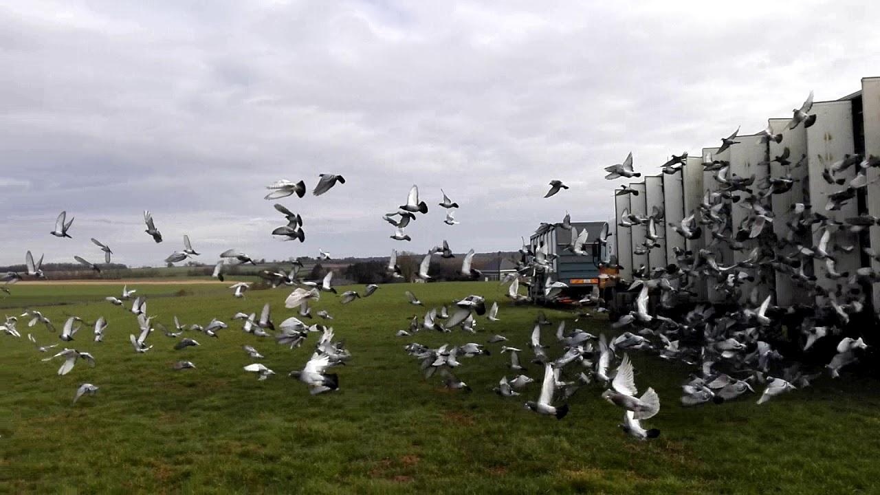 Transport Vanderstukken: annulatie opleervlucht 24/04