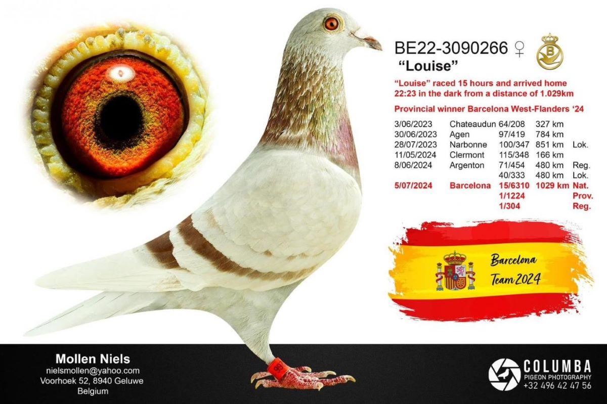 BE22-3090266 'Louise' > 15e NAT/6e A1/1e PR Barcelona 24 >NIELS MOLLEN (+Foto)