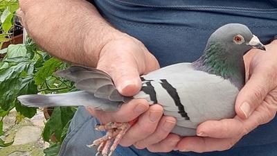 BE22-4108541 '541' > 10e NAT/1e A3/2e PR Argenton II 24 >Jurgen & Roland Vergeynst (+Foto)*