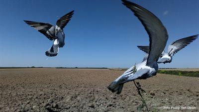 de NOORDHOEK Gewonnen waardebons