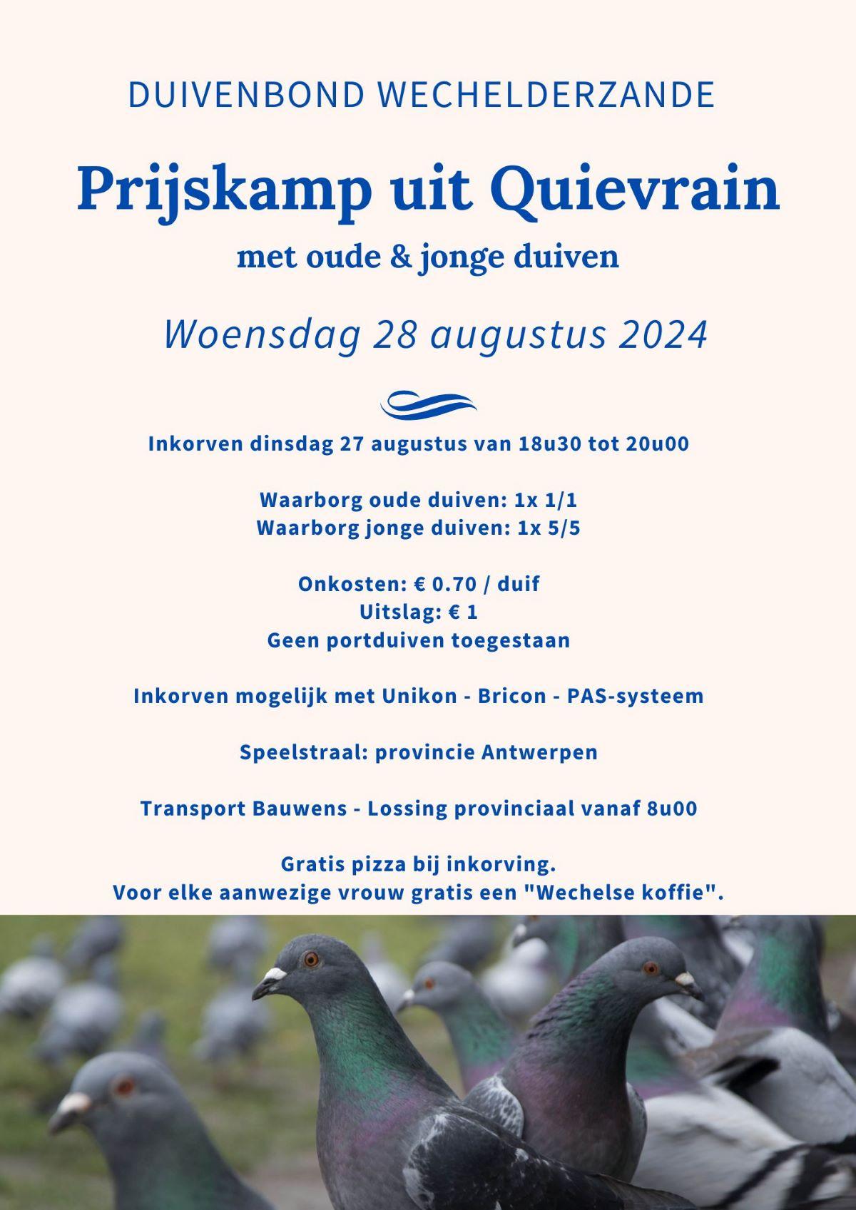 duivenbond-wechelderzande.jpg