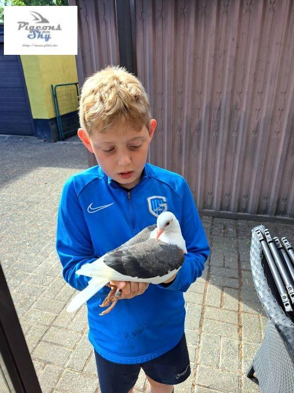fb-lutgarde-jos-dams-vanbrabant-30-mei-1-kleinkinderen-beetje-dollen-met-jonge-duif.jpg