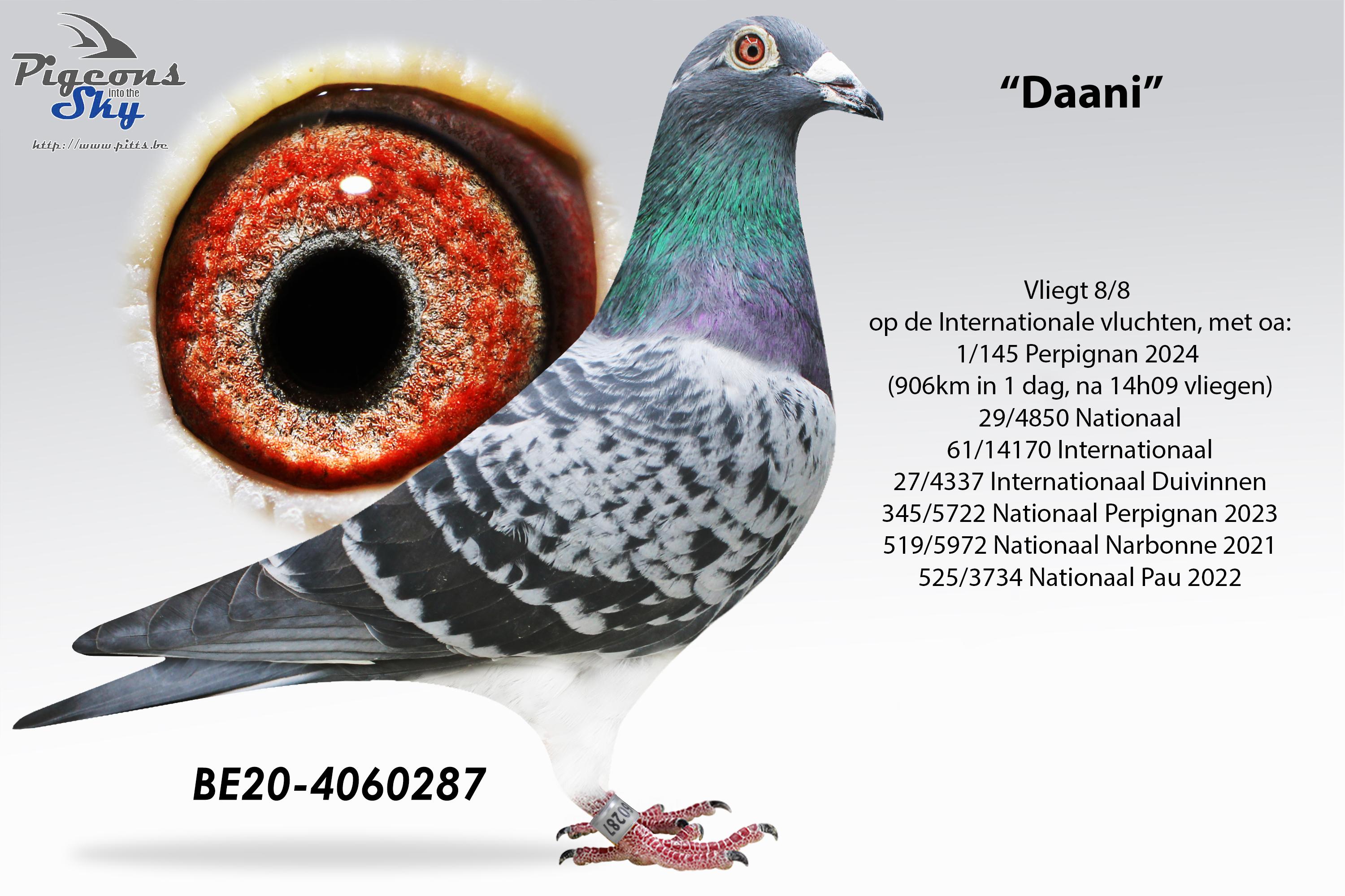 be20-4060287-met-tekst.jpg