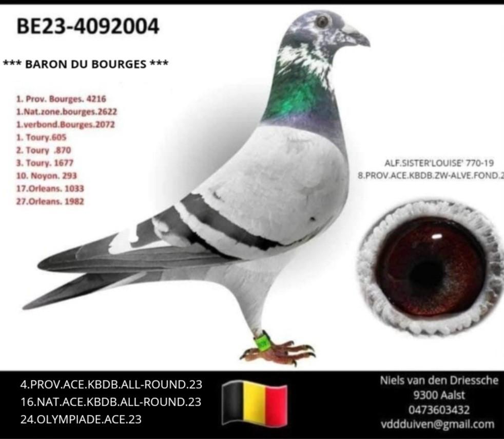 foto-6.jpg