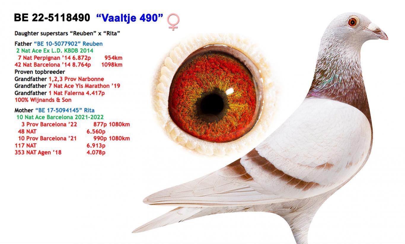 5118490-22-vaaltje-willems-a-en-m-_1_.jpg