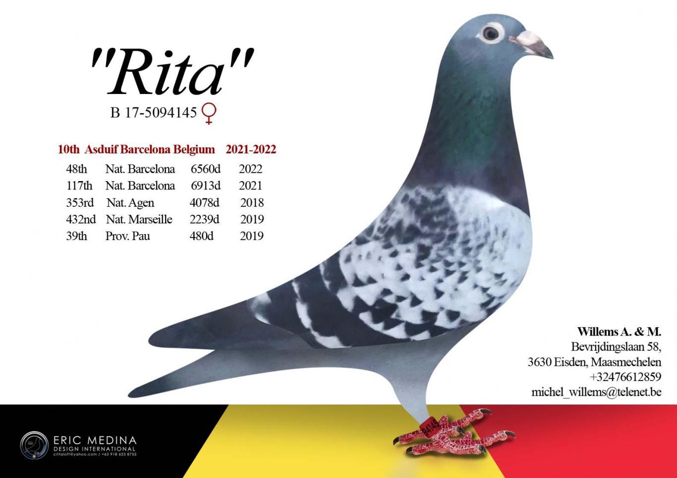 be17-5094145-rita-willems-a-_-m.jpg