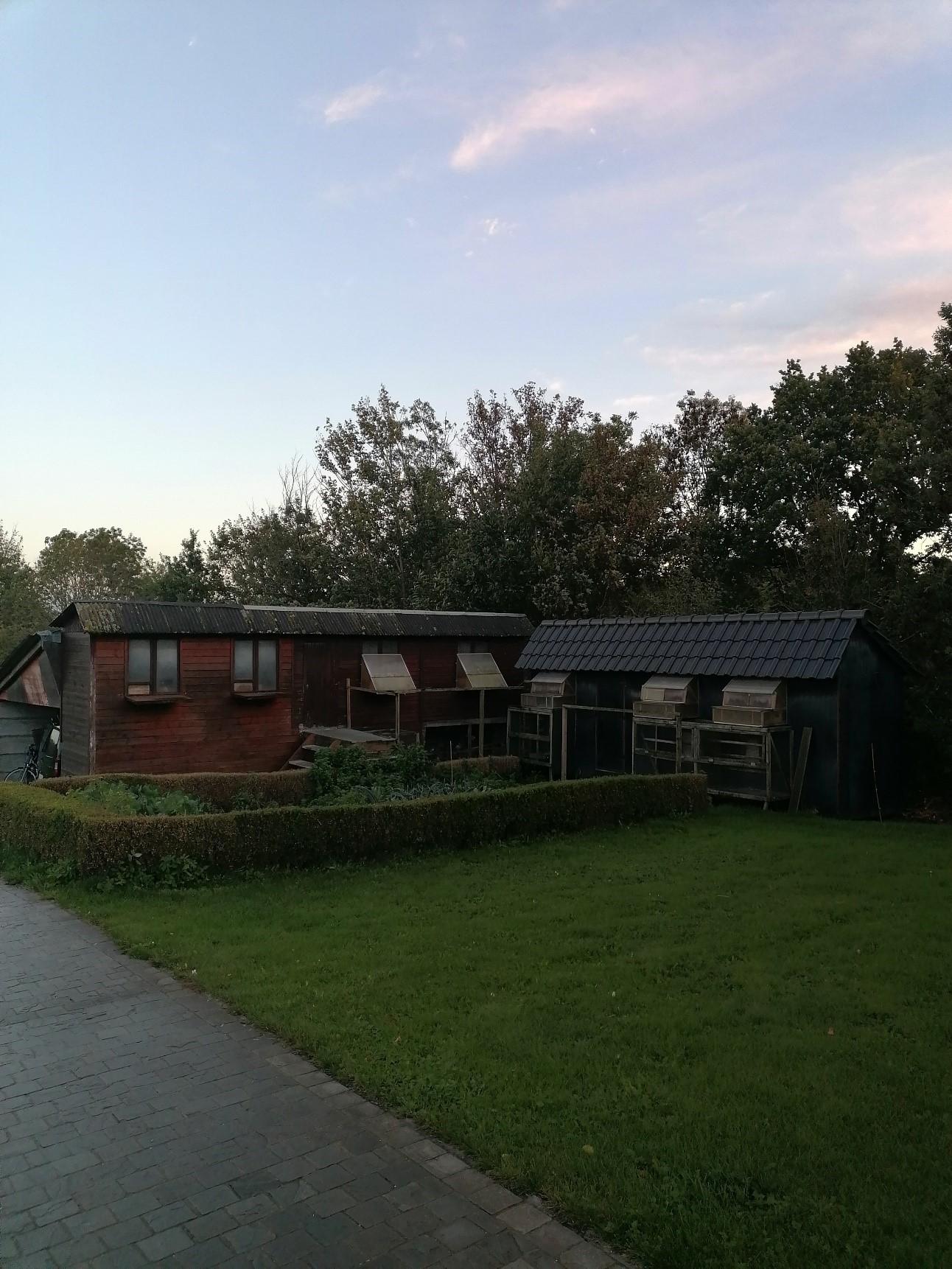 foto-2-hok-luc.jpg