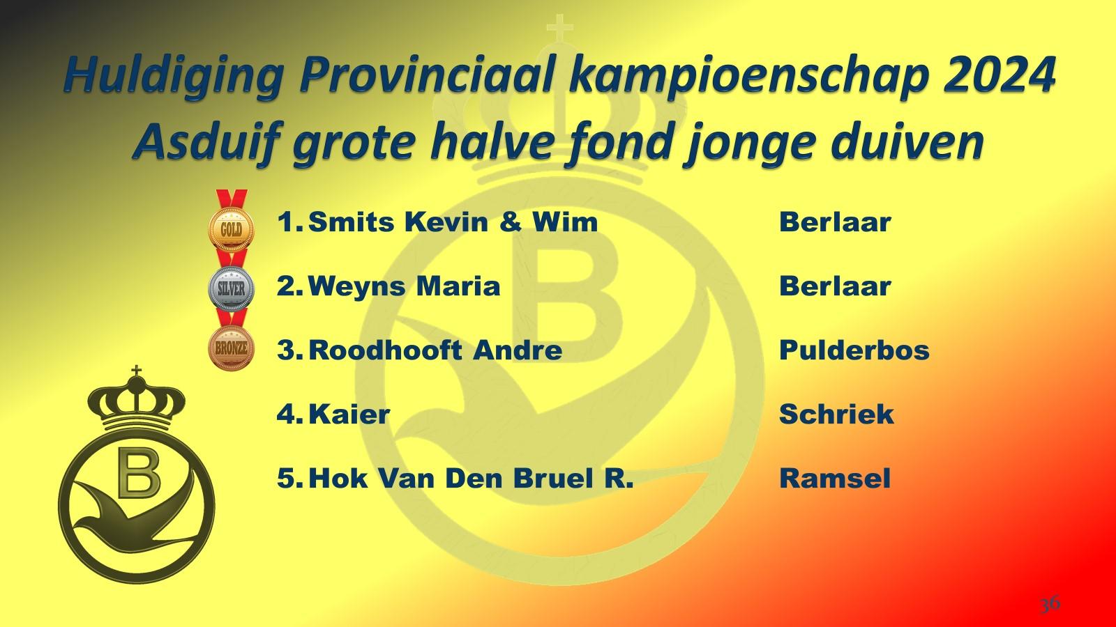 pitts-2024-12-14-pe-antwerpen-grote-halve-fond-asduif-jonge-1.jpg