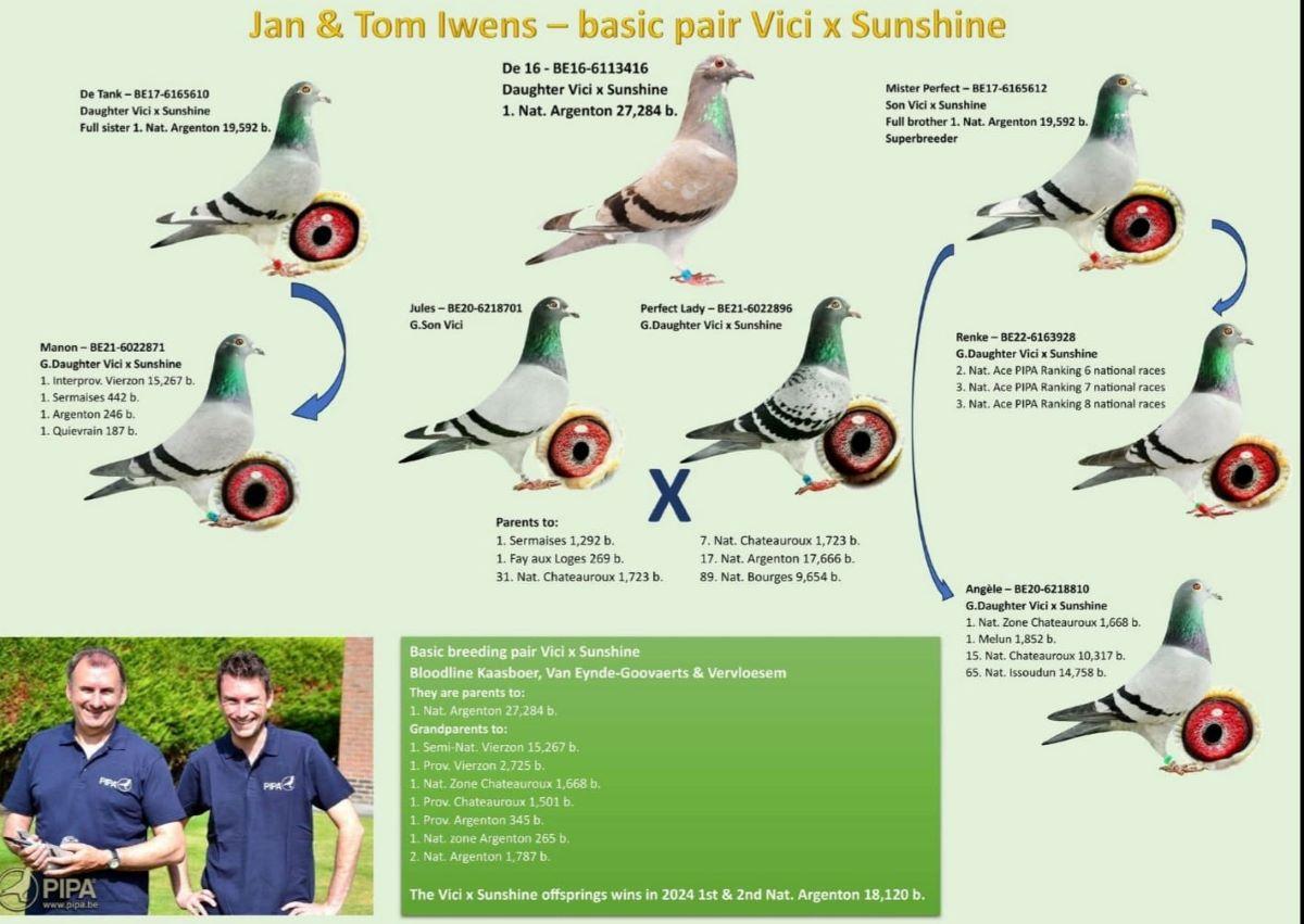 iwens-jt-collage-2.jpg
