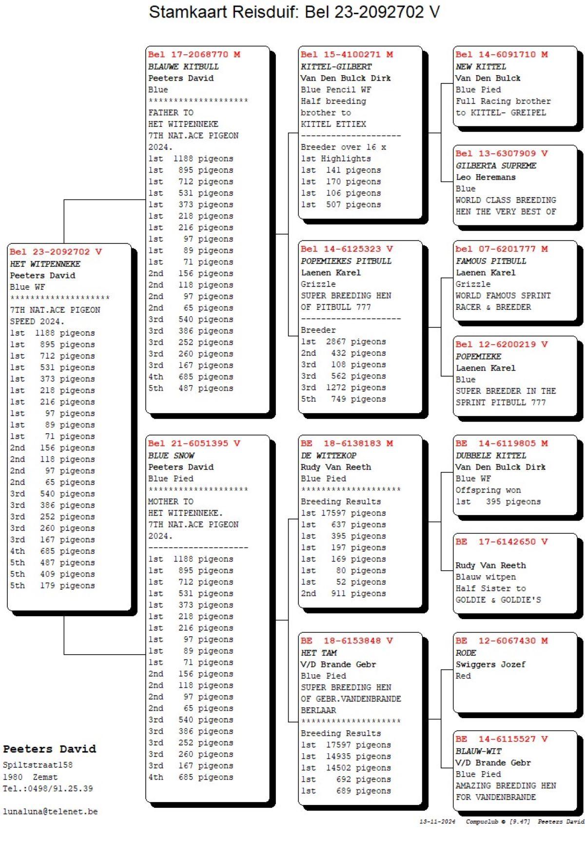 pitts-peeters-david-pitts-be23-2092702-het-witpenneke-pedigree.jpg