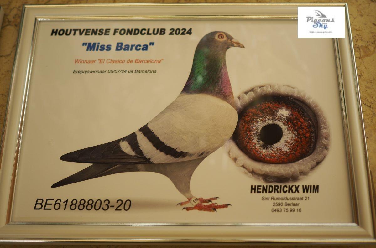 pitts-hendrickx-wim-pitts-be01-6188803-miss-barca-foto-2024.jpg