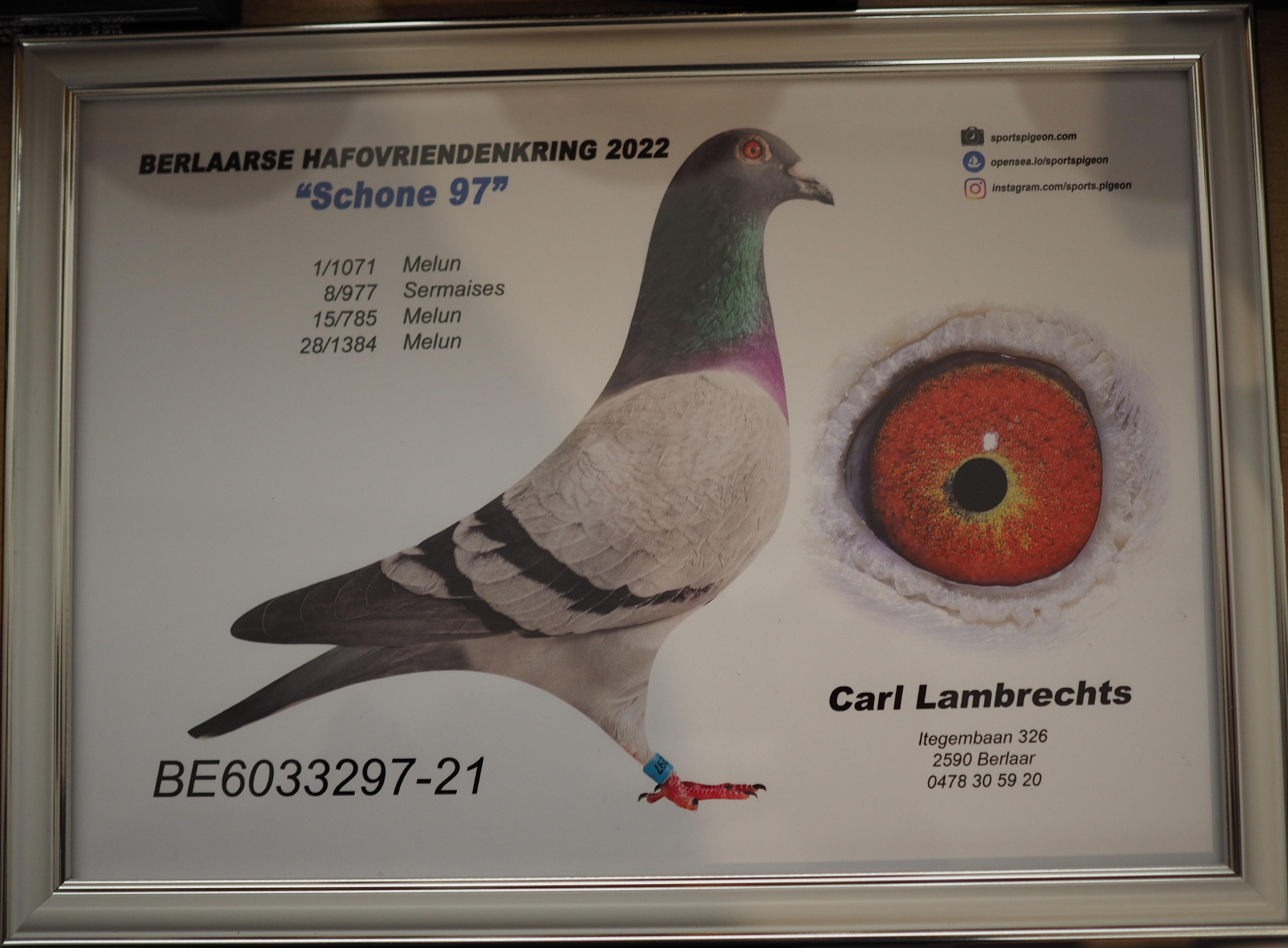 lambrechts-carl-pitts-be21-6033297-schone-97-pitts-foto-1.jpg