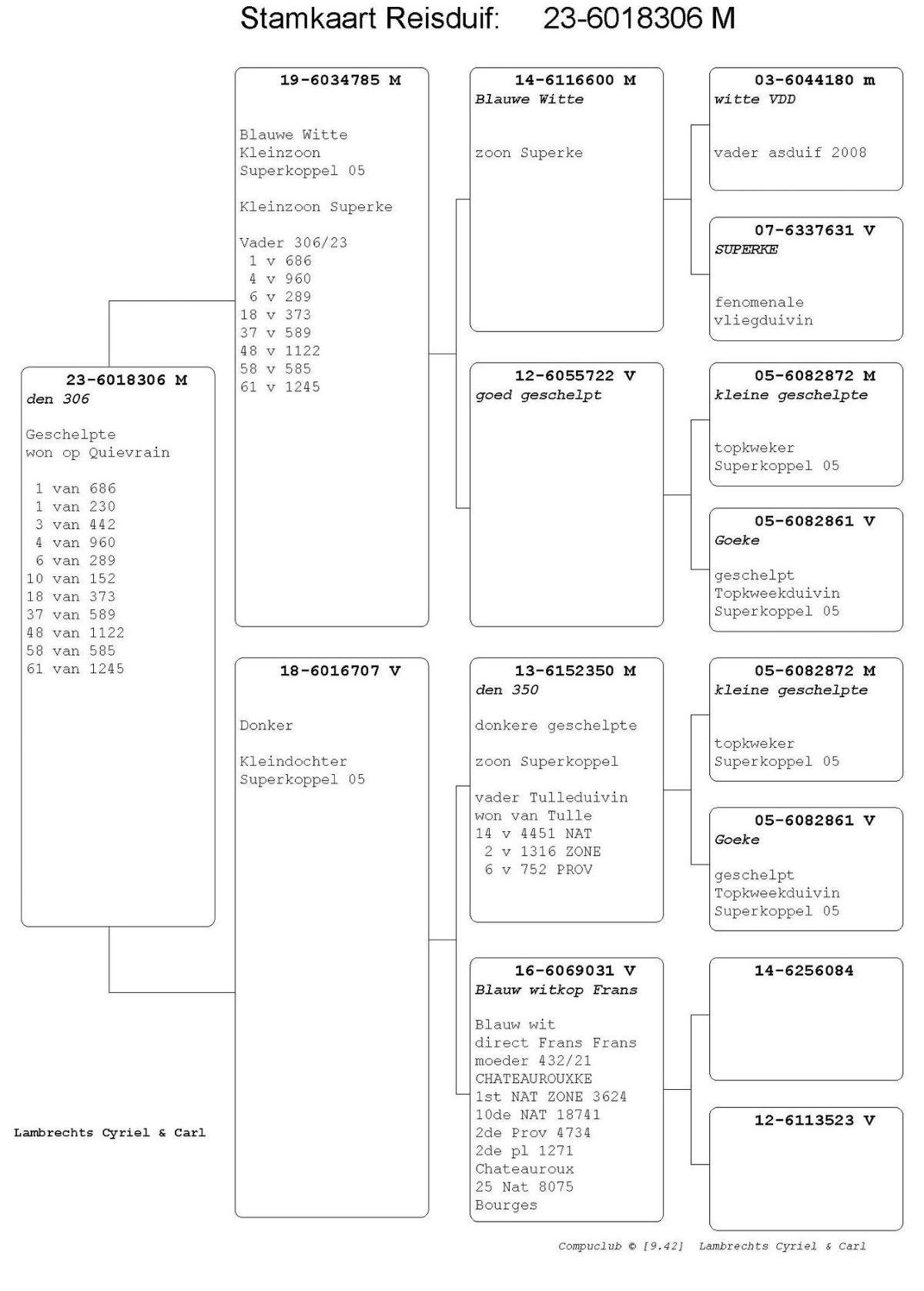 pitts-lambrechtspigeons-be23-6018306-den-306-pedigree.jpg