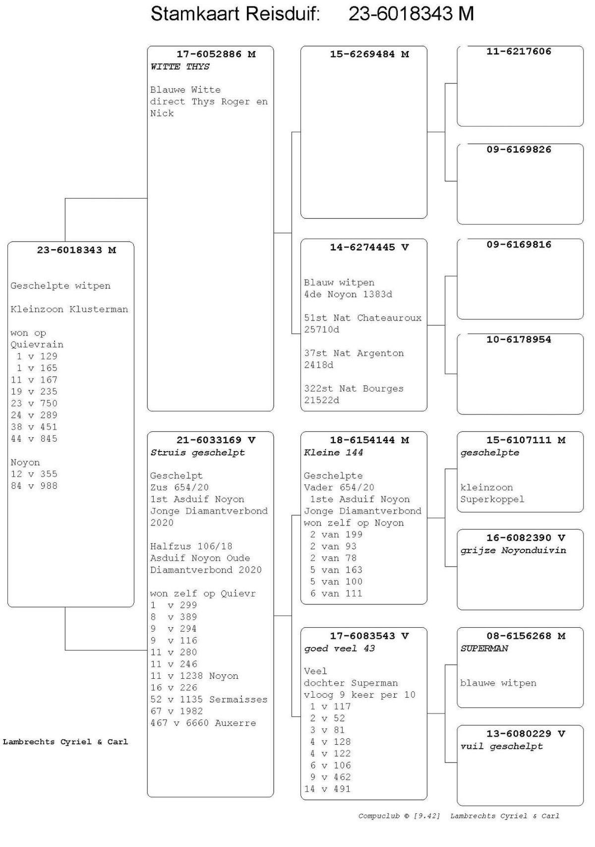 pitts-lambrechtspigeons-be23-6018343-den-343-pedigree.jpg