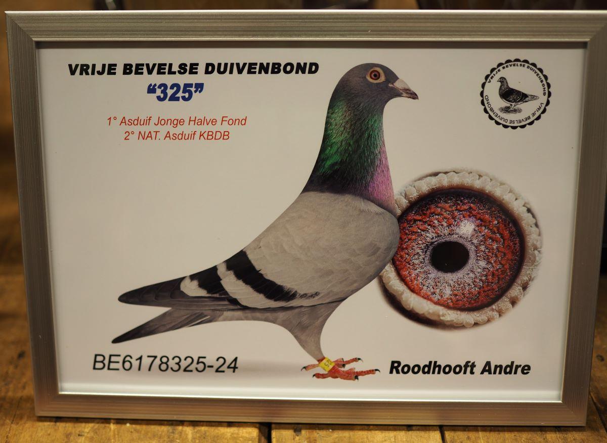 pitts-roodhooft-andre-pitts-be24-6178325-325-foto-2024.jpg