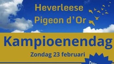 Kampioenendag zon 23/02 Pigeon d'Or HEVERLEE