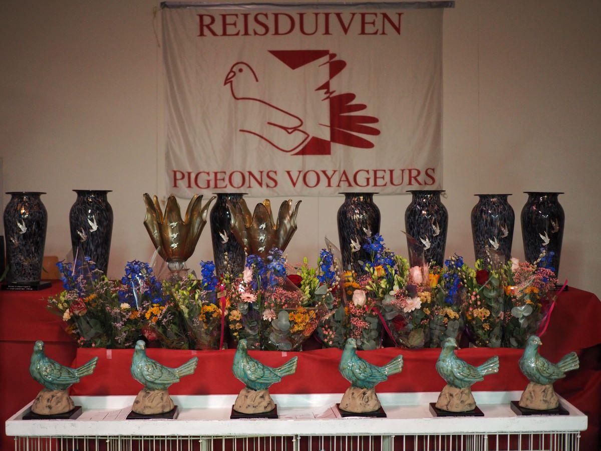 pitts-2025-01-24-pitts-kempense-vliegers-sfeer-2.jpg