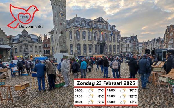 Duivenmarkt Lier zon 23/02