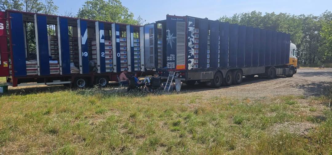 fb-kbdb-vrij-13-juni-7.jpg