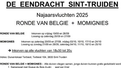769413-eendracht-st-truiden-momignies-rvb-croppedxs.jpg