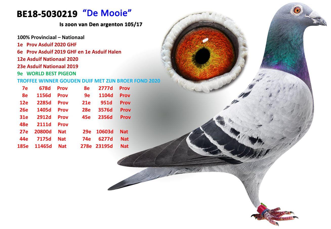 de-mooie.jpg