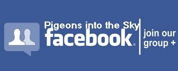 facebook.jpg