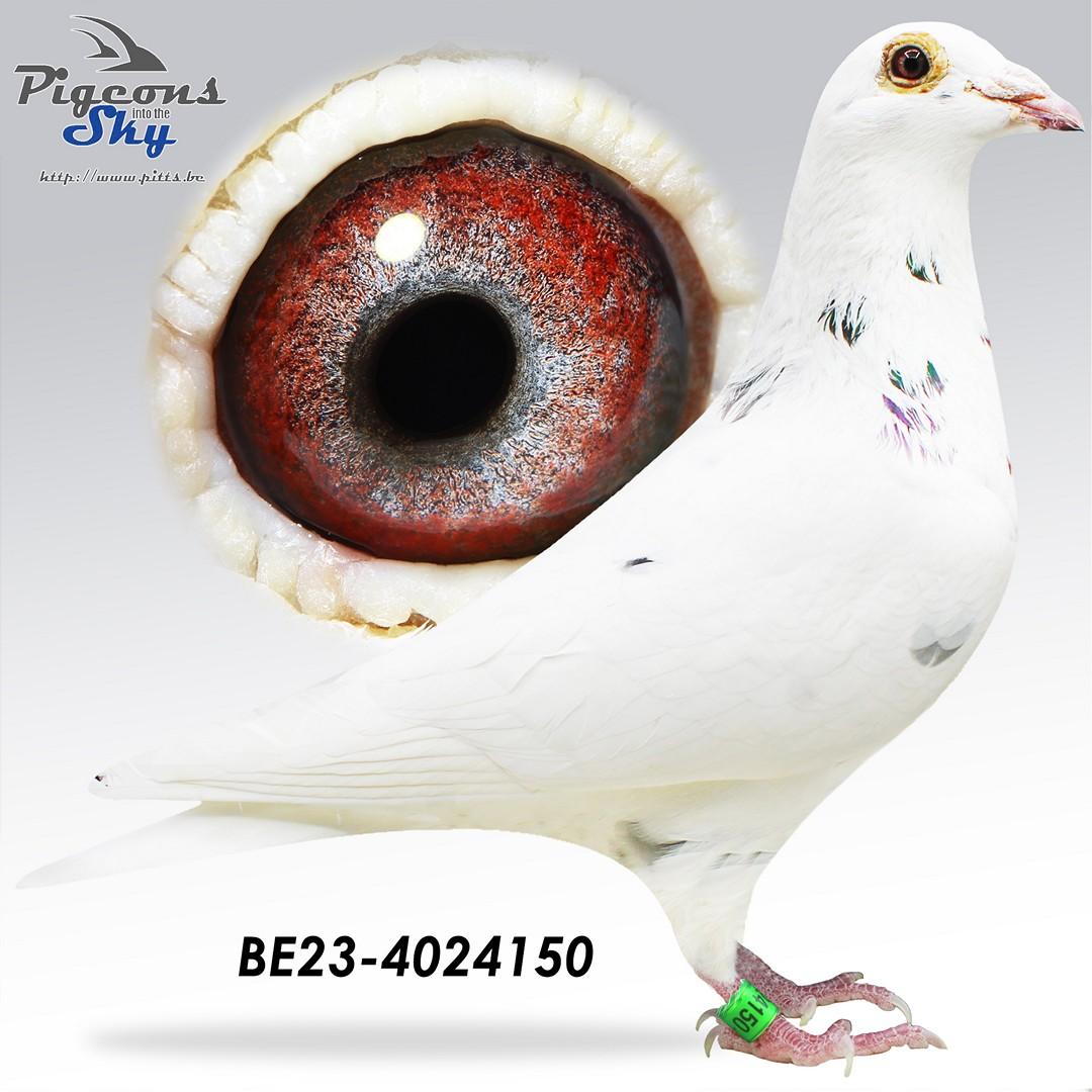 Crack Beauty x Lijn Meeuwke 12