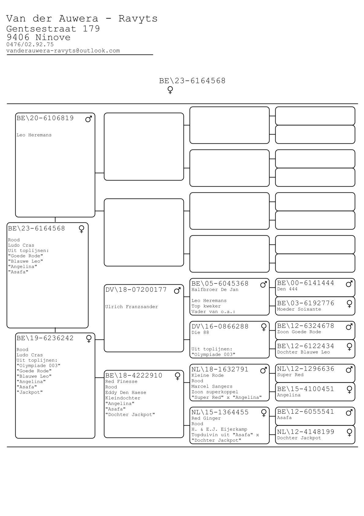 pedigree Uit toplijn Olympiade 003