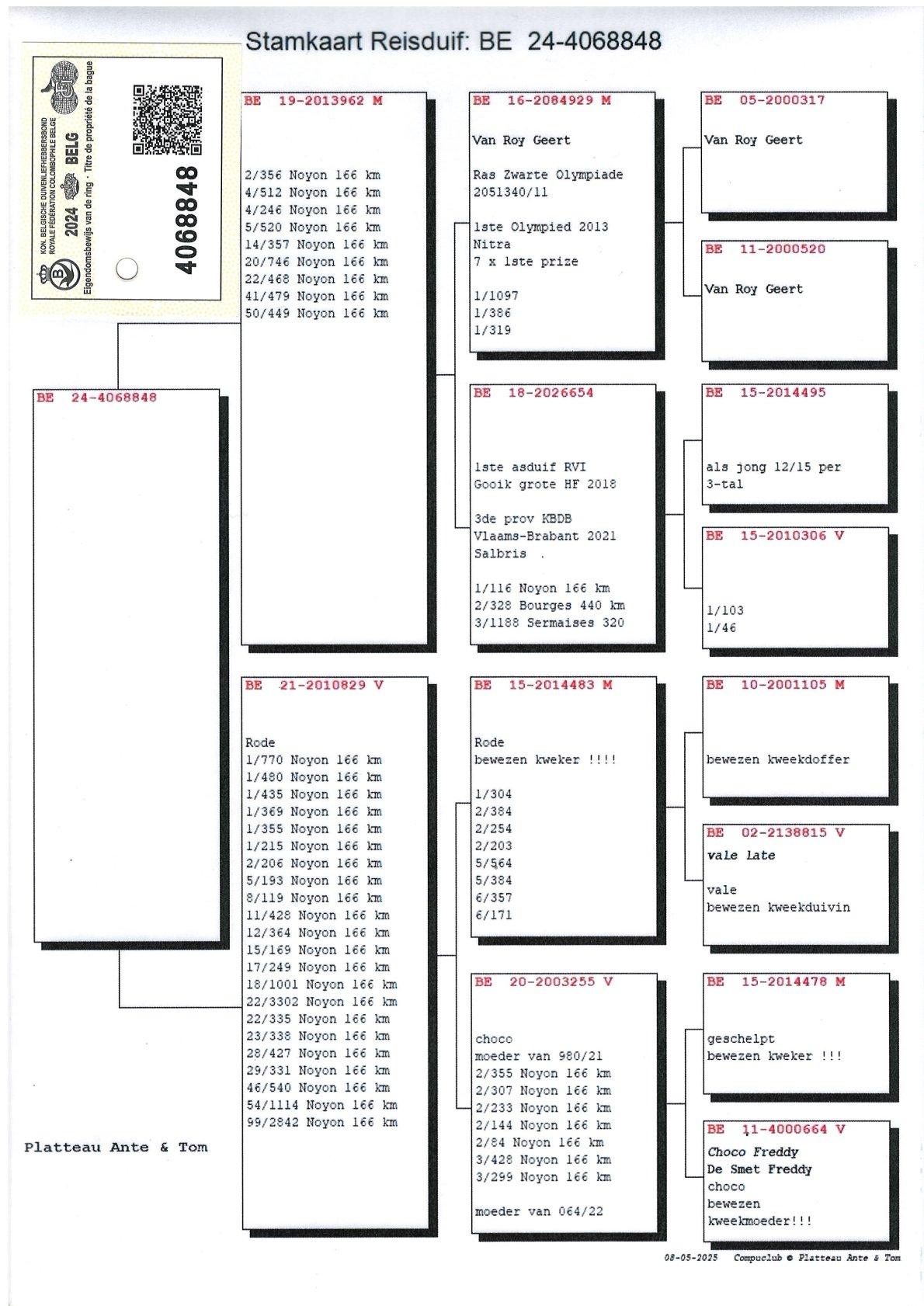 pedigree Lijn Zwarte Olympiade