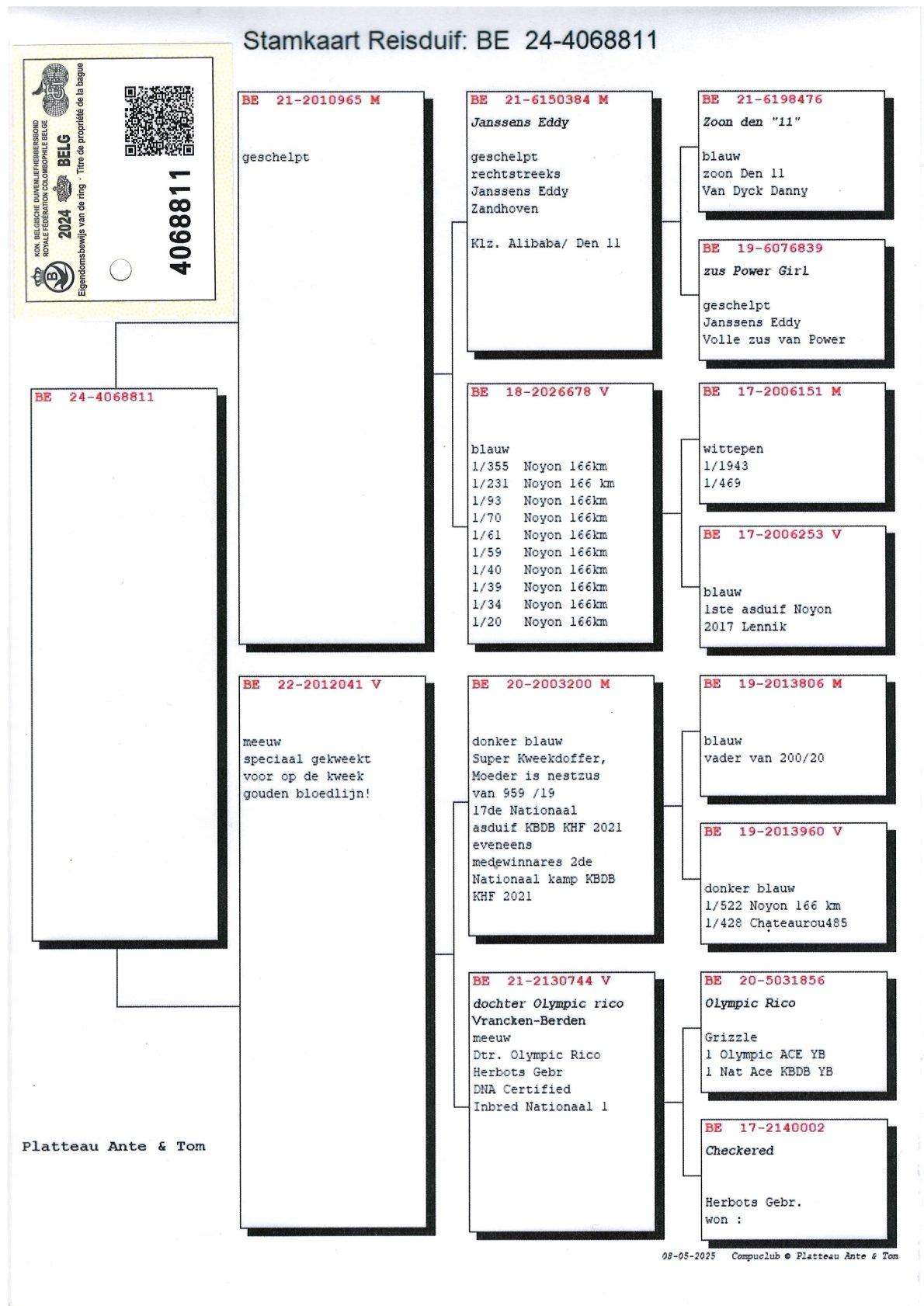 pedigree Lijn Olympic Rico