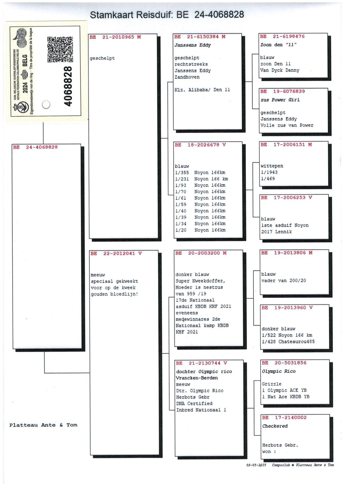 pedigree Lijn Olympic Rico
