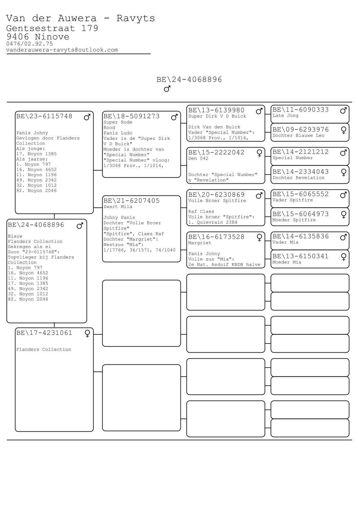 pedigree Zoon topvlieger Flanders Collection