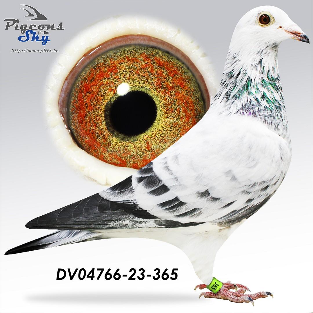 Kind 1ste prijswinnaar