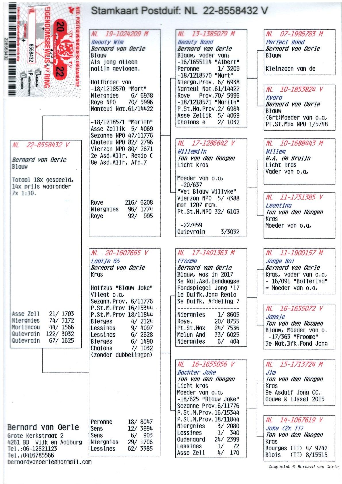 pedigree 14/18 x prijs