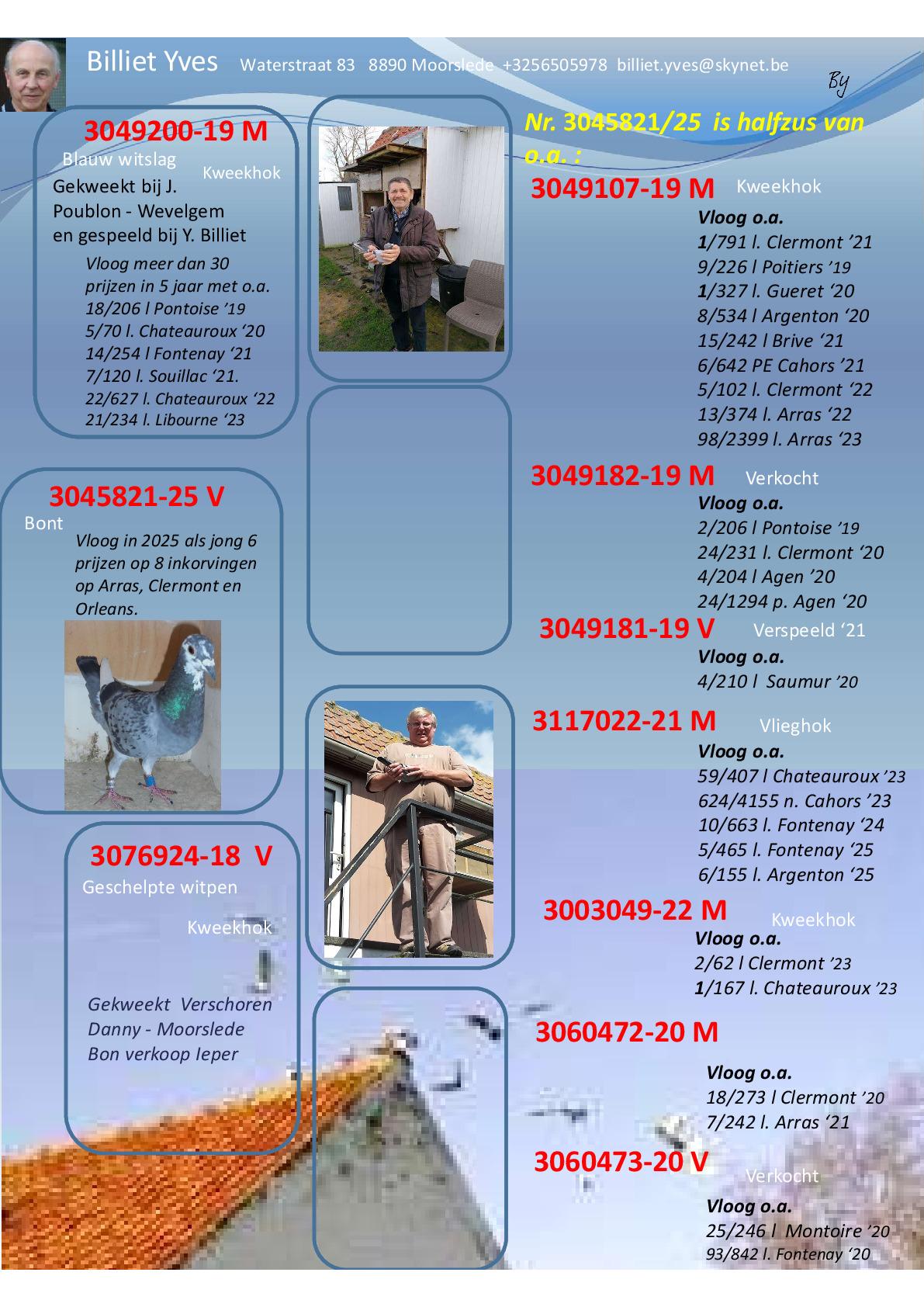 Pedigree van Billiet Yves	- duivin ter plaatse 