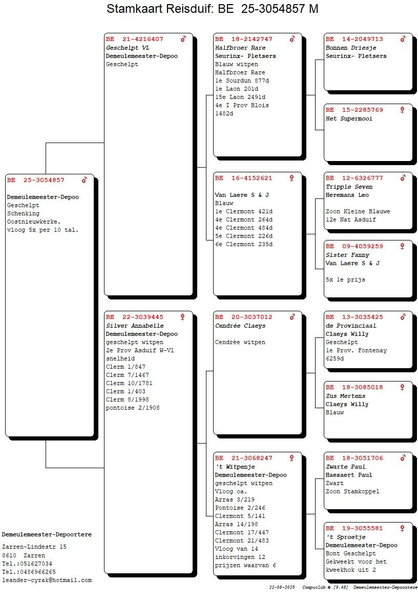 Pedigree Demeulemeester-Depoortere - duif ter plaatse