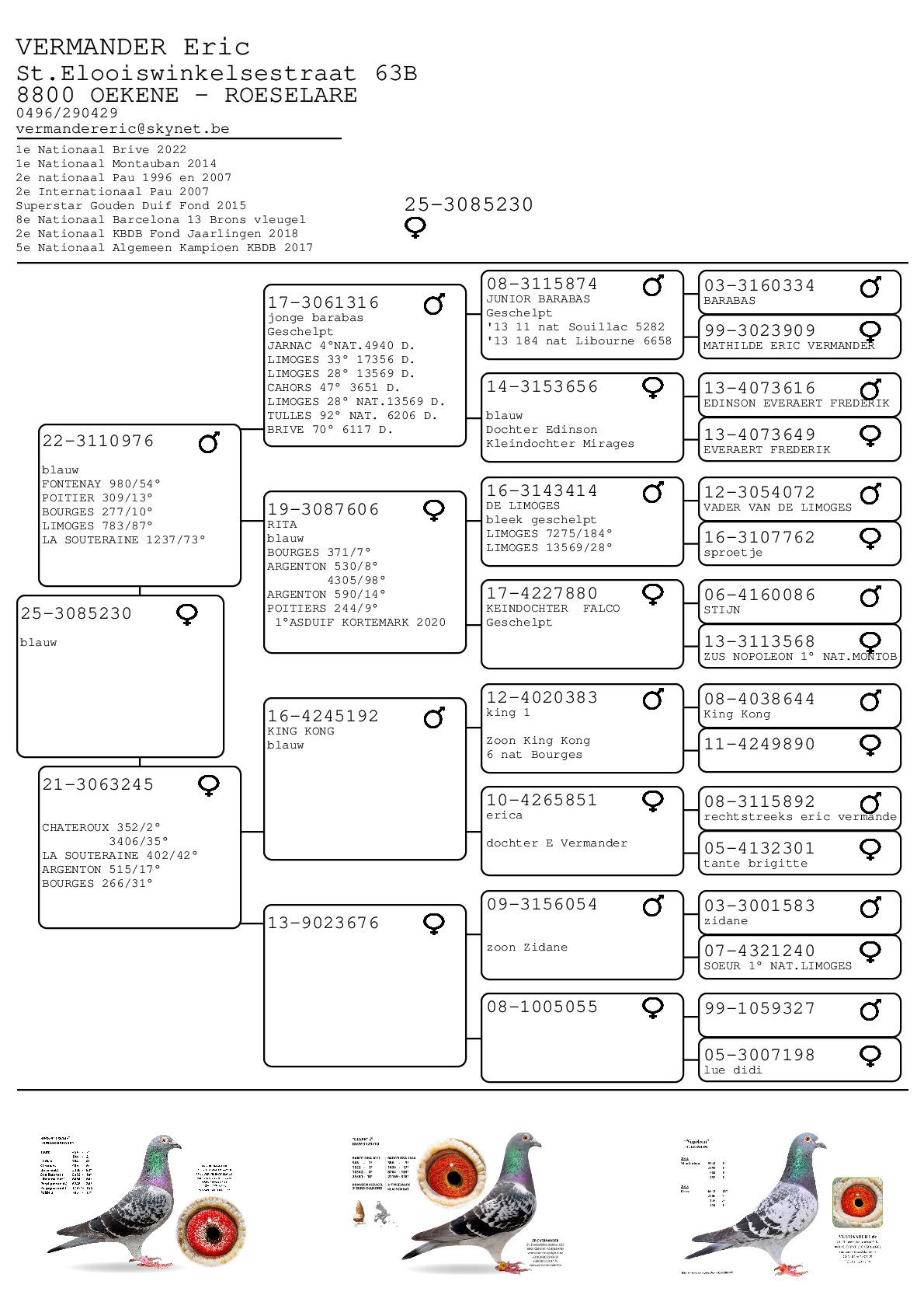 Pedigree van Vermander Eric	- duif ter plaatse