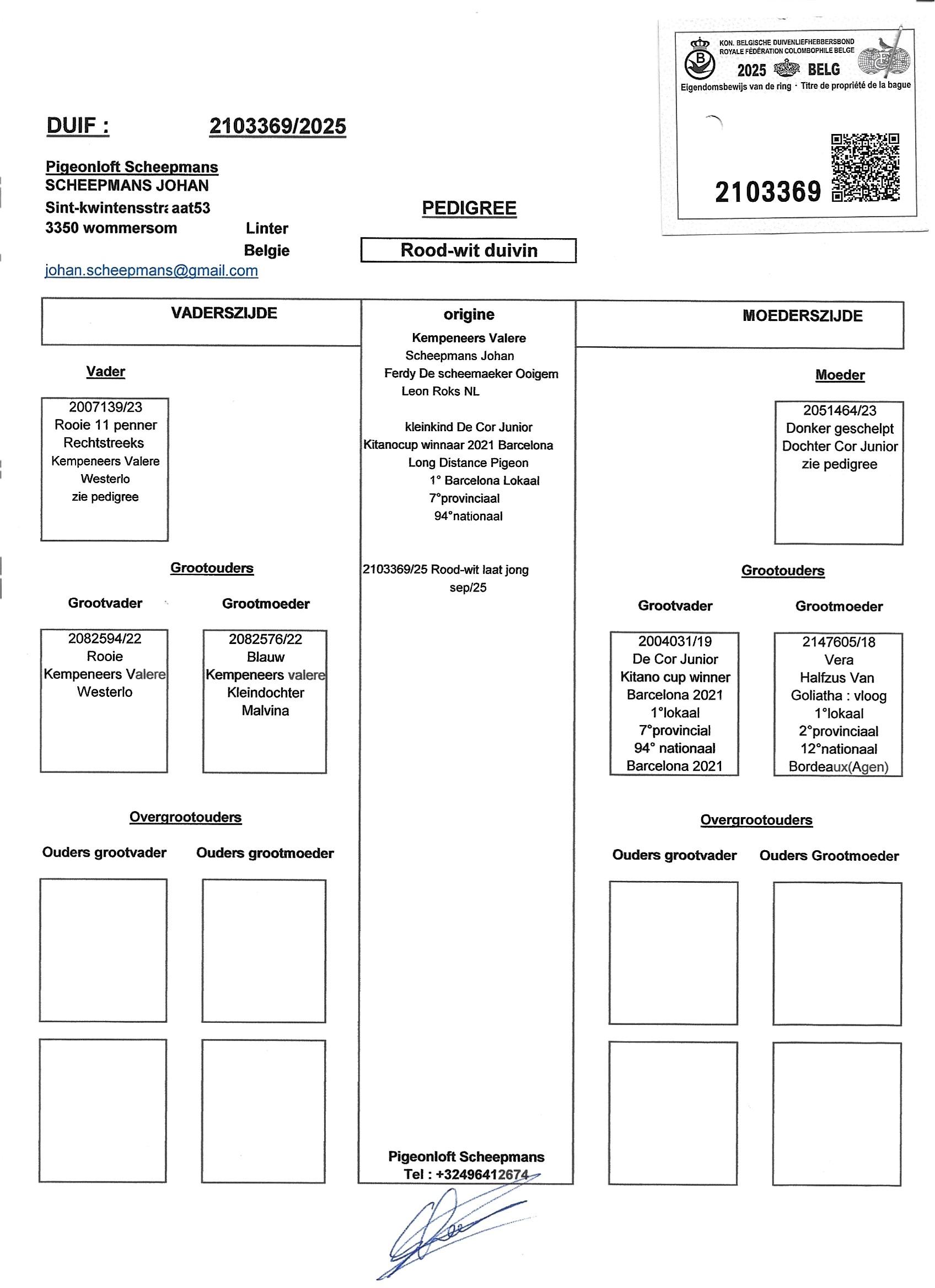 Pedigree Scheepmans Johan - duif ter plaatse