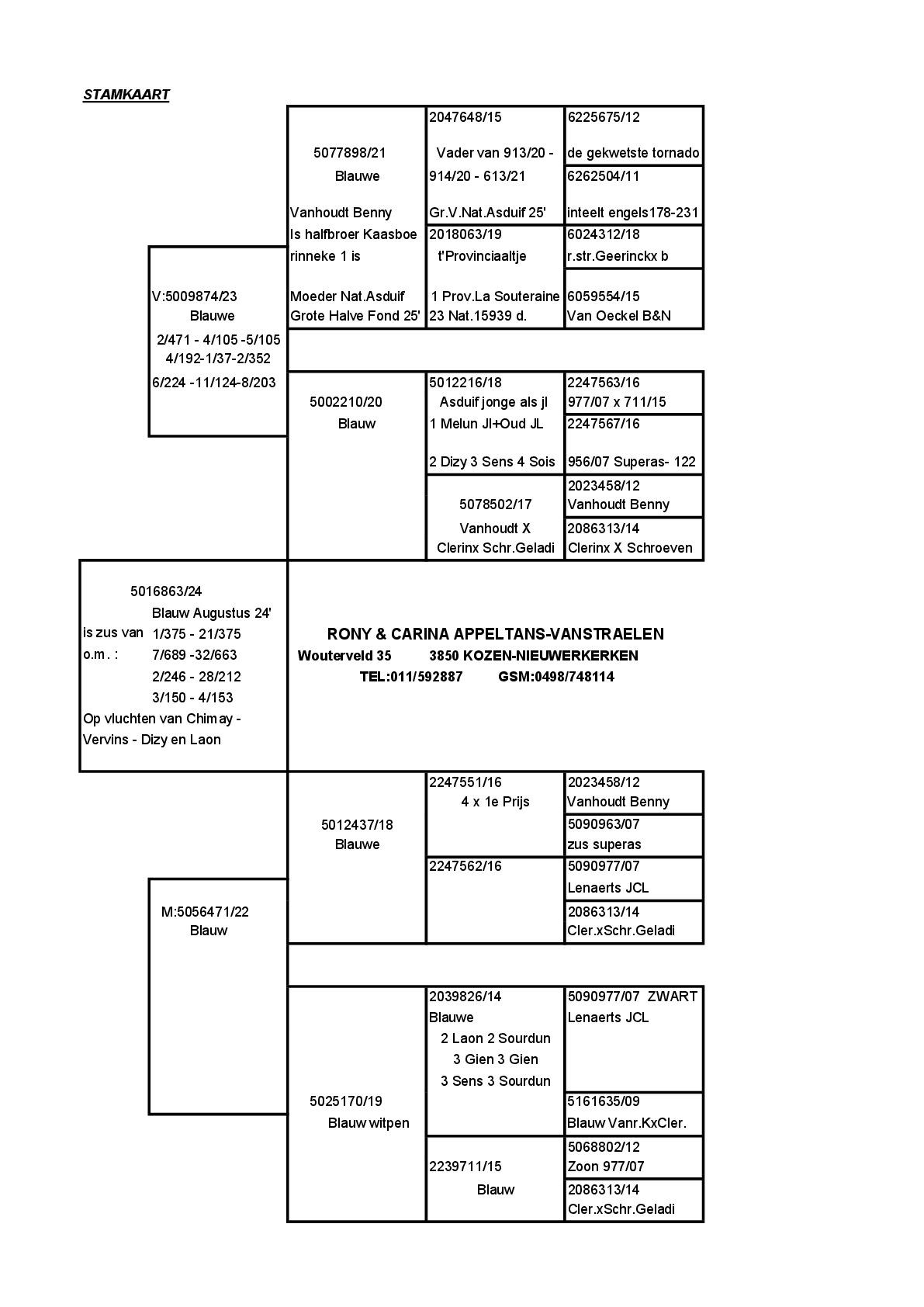 Pedigree Vanstraelen Carina, Nieuwerkerken - duif ter plaatse